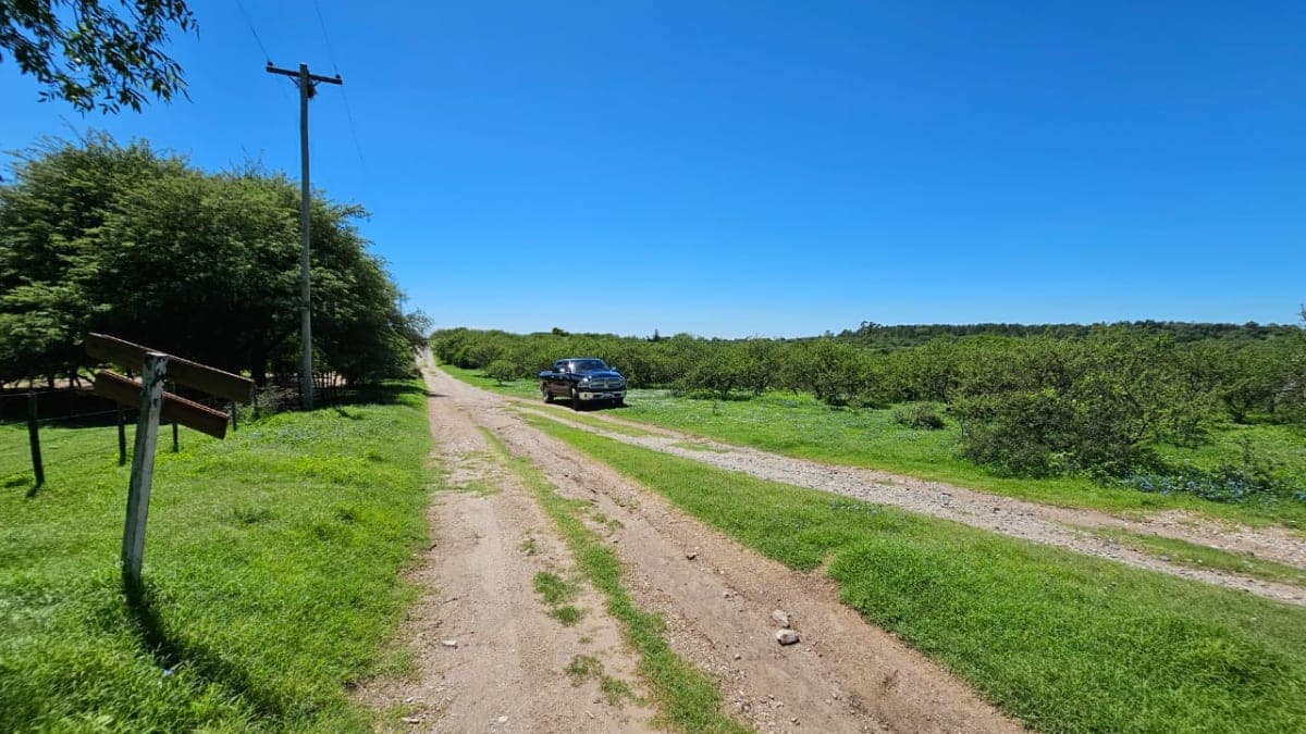 1,5 Hectáreas a 500 mts. del Asfalto