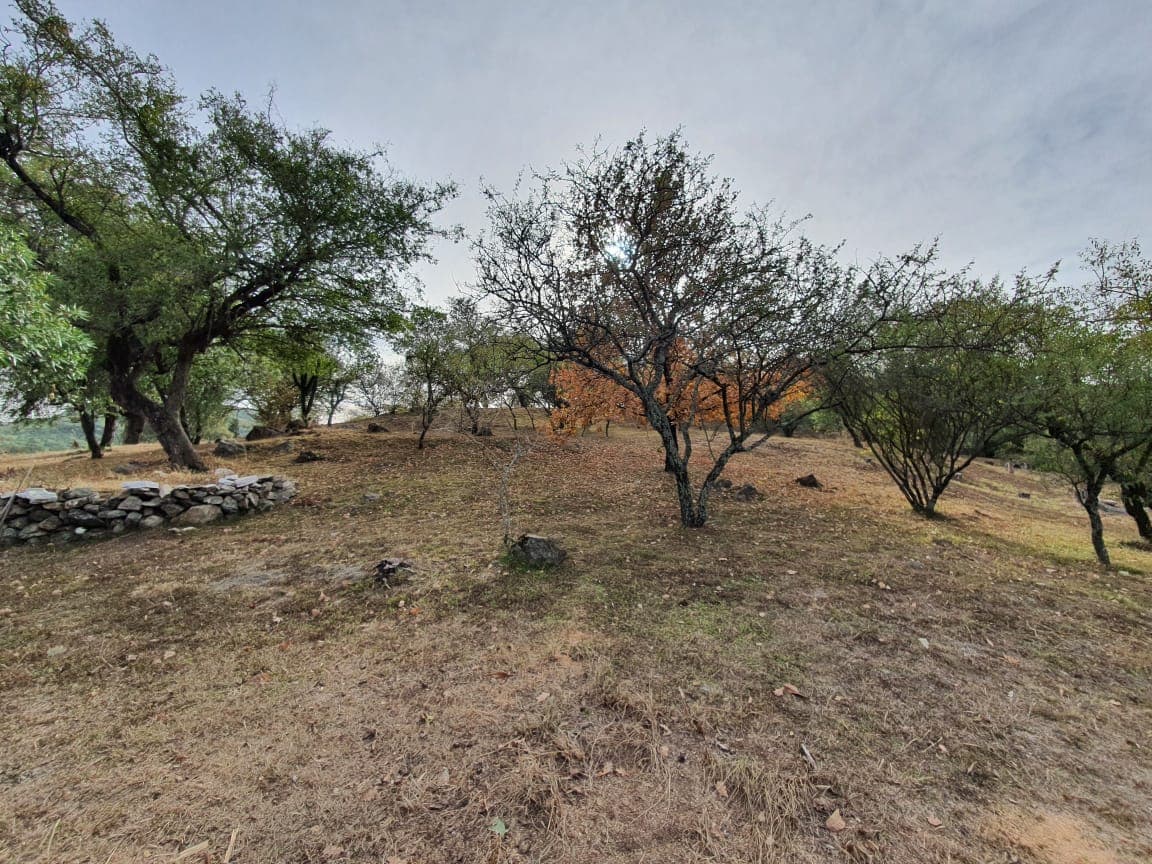 Córdoba, La Serranita, Lote de 4.745m2 a 85 mts. del Asfalto foto 11