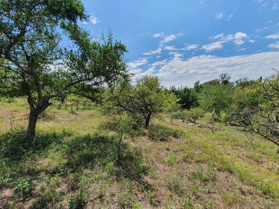 La Bolsa, Av. Los Aromos, Se vende hermoso lote de 1000 con bajada privada al Rio Anisacate foto 8